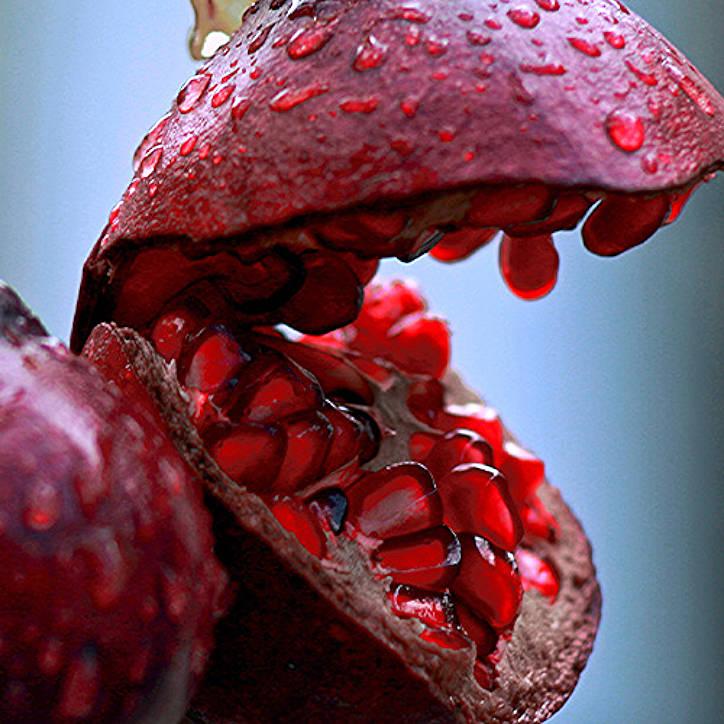 Pomegranate